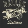 T-shirt pour enfant avec motif Dallas Stallions