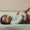 Transat pour bébé Snuggle Me Curve